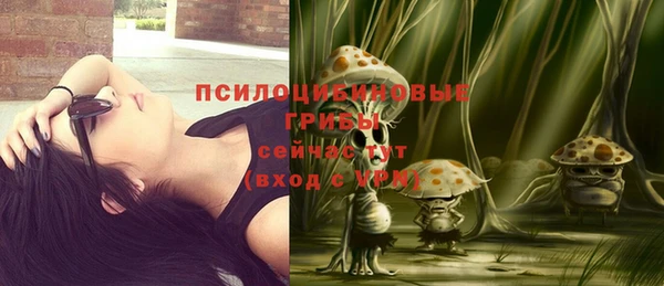 гидропоника Абдулино