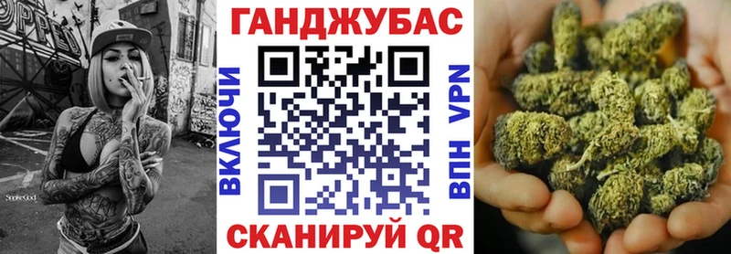 где купить наркотик Алзамай Конопля SATIVA & INDICA